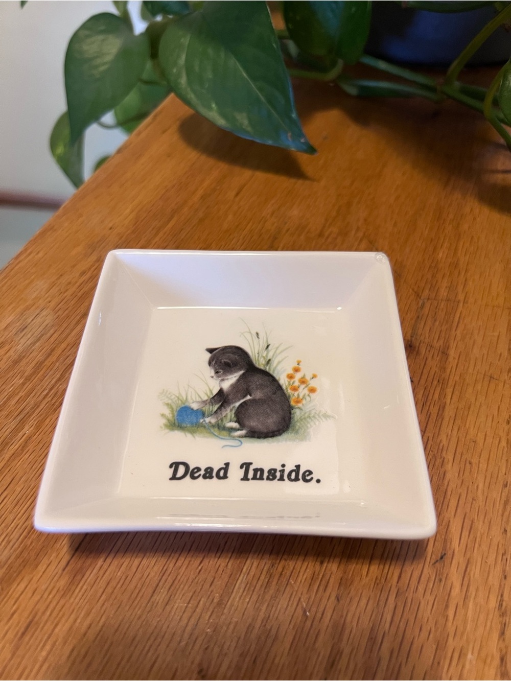 White Ceramic Trinket Dish with Kitten Graphic - Dead Inside
